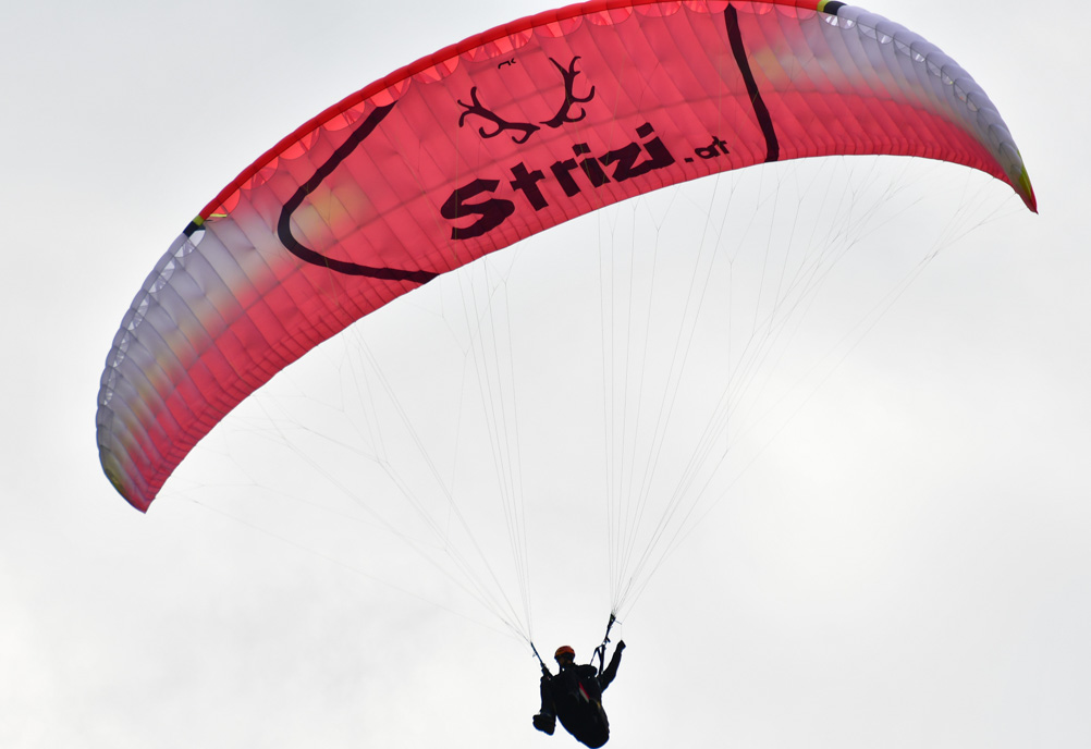 Paraglider